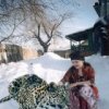 Аватар: Властилина Усанова