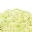 №57, Максим Тарасов, 37 лет, Казань №57, Максим Тарасов, 37 лет, Казань