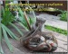 Виктория Иванова фотография #23