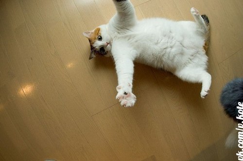 Дмитрий Холтобин | Рязань