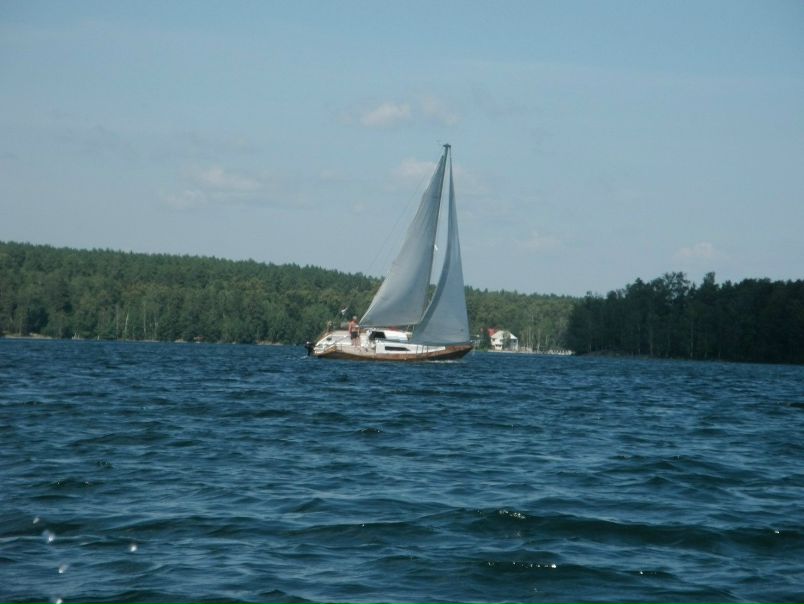 №97, Святослав Швабауэр, 32 года, Москва №97, Святослав Швабауэр, 32 года, Москва