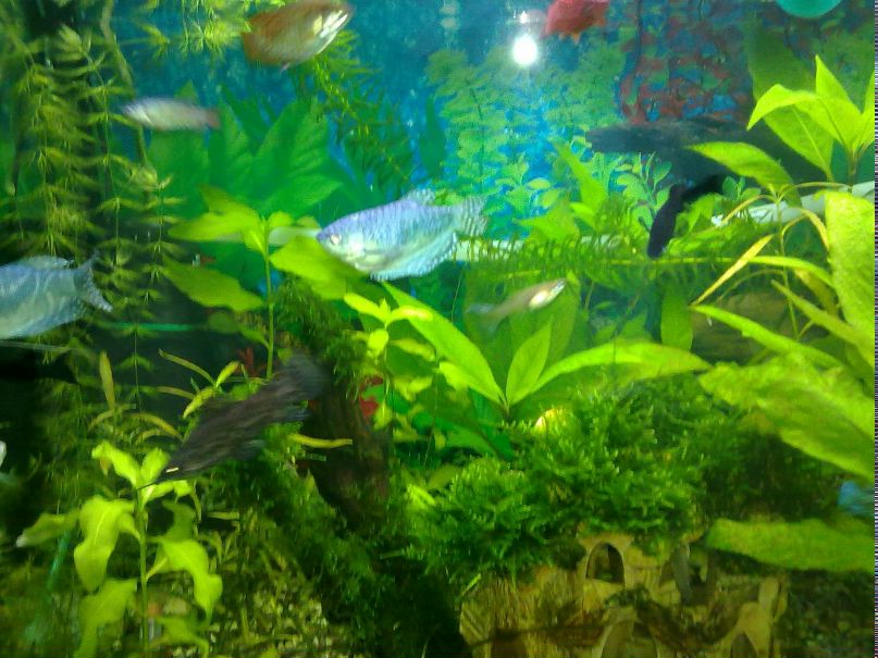 Руслан Бондарь | Херсон