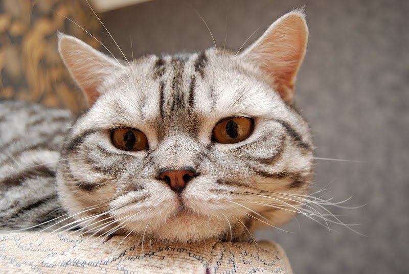 Павел Васильев | Запорожье