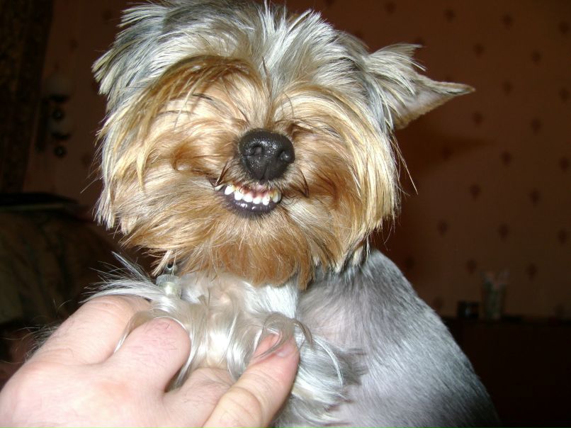 Анастасия Селиванова | Санкт-Петербург