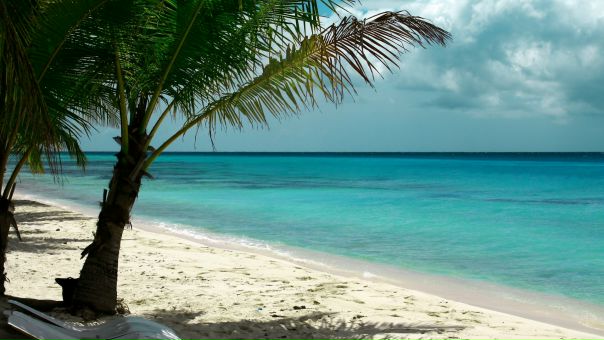 №139, Кирилл Борисенко, Москва, Россия №139, Кирилл Борисенко, Москва, Россия