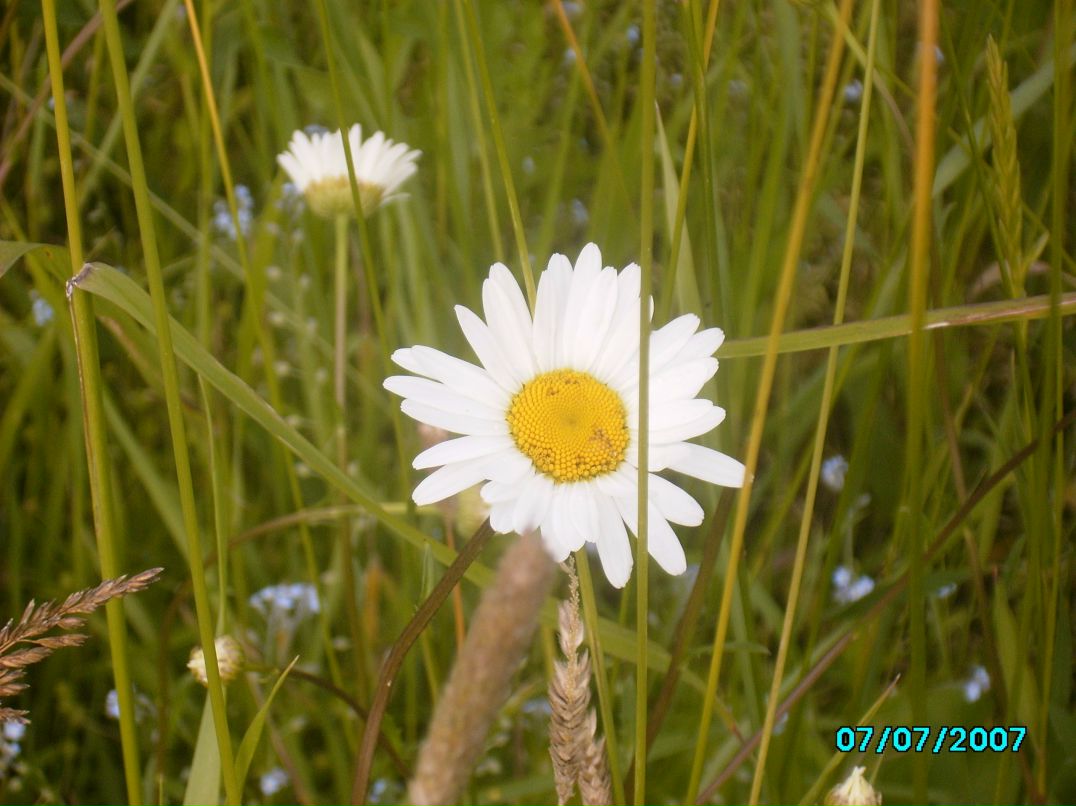 Тамара Кузнецова | 