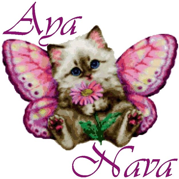 Аида Эмиргаева | Дербент