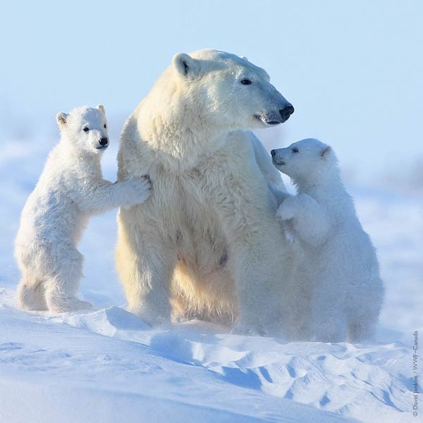 №90, Женя Хазина №90, Женя Хазина