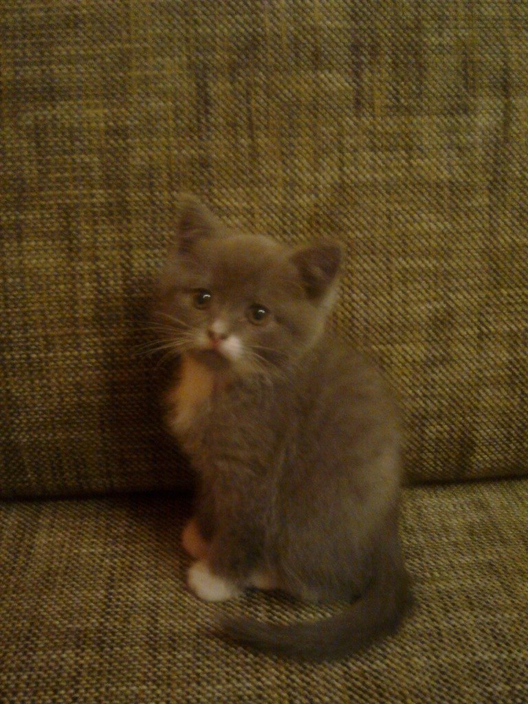 Максим Анашкин | Москва