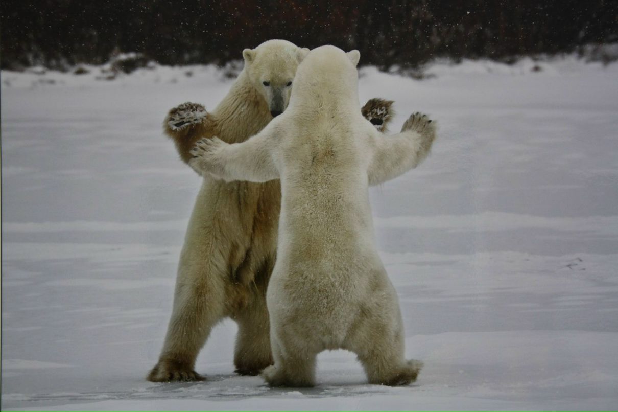 Ольга Лапшенкова | Москва