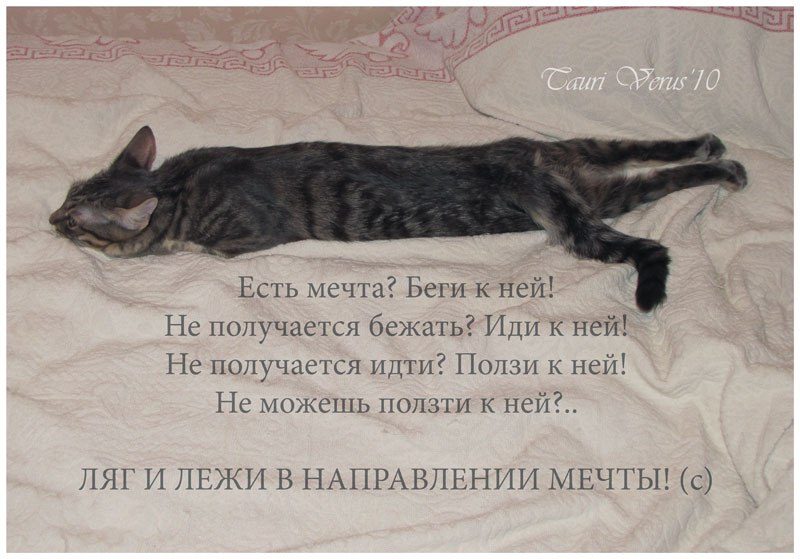 Екатерина Баранова | Чусовой