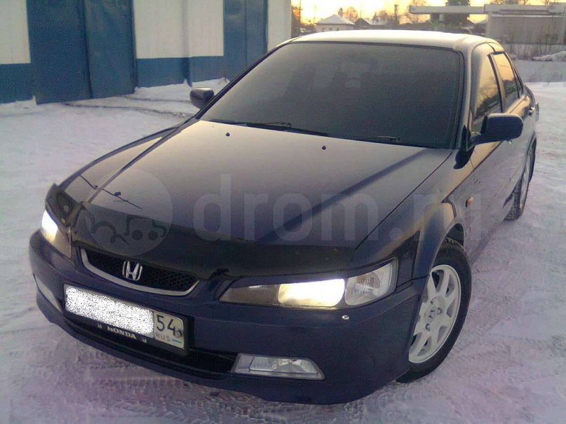 Алексей Шагойко | Бердск