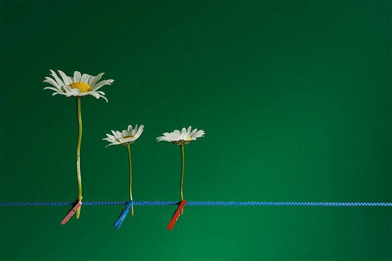 №99, Катерина Куликова, Ижевск №99, Катерина Куликова, Ижевск