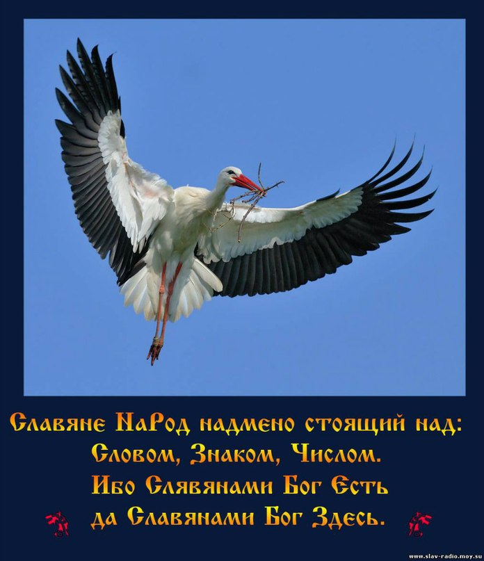 White Wolf | Москва