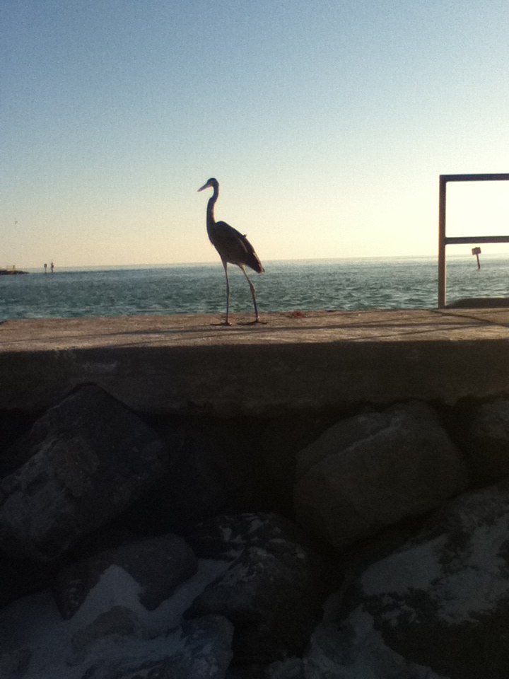 Марина Исакова | Нижний Новгород