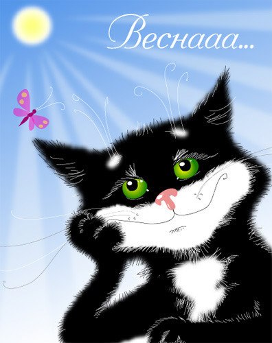 Юлия Казакова | 