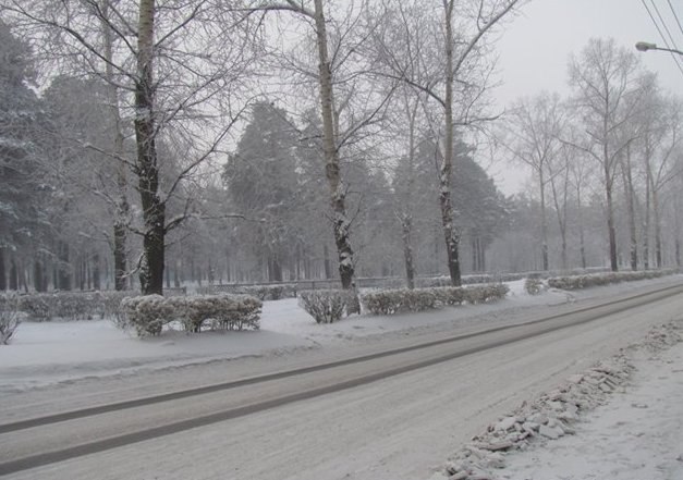 Елена Ворсонофьева | Минеральные Воды