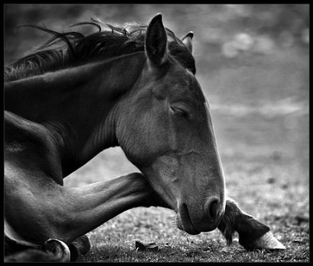 №80, Татьяна Пархомчук, Киев №80, Татьяна Пархомчук, Киев