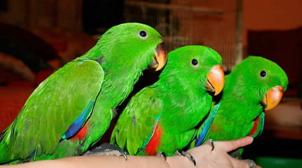 №6, Мирослава Фомичева, Санкт-Петербург, Россия №6, Мирослава Фомичева, Санкт-Петербург, Россия