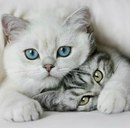 №10 Соня Силованова : профиль, фото, статус - ВКонтакте