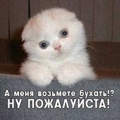 №10, Евгений Гущик №10, Евгений Гущик