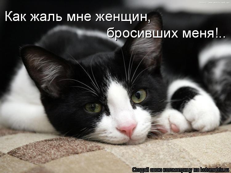 Женек Поляков | Санкт-Петербург