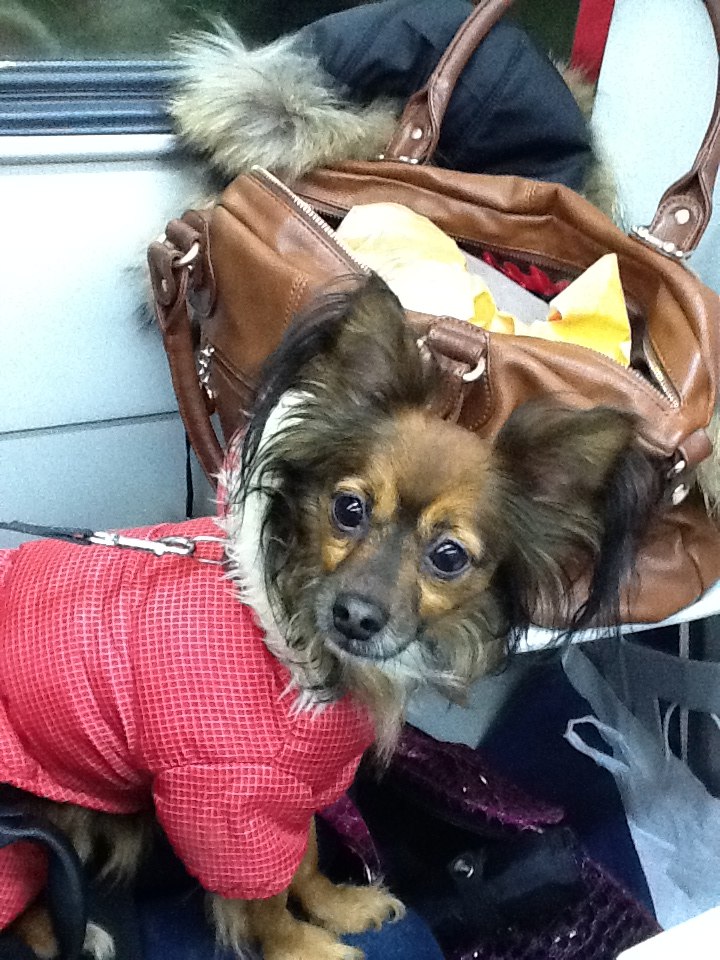 Елена Вовчук | 