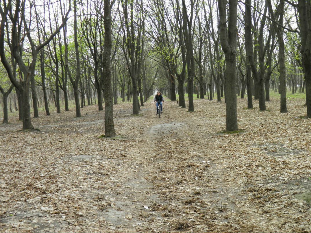 Александр Маласай | Днепр (Днепропетровск)