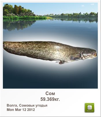 Владимир Поляков | Красноград