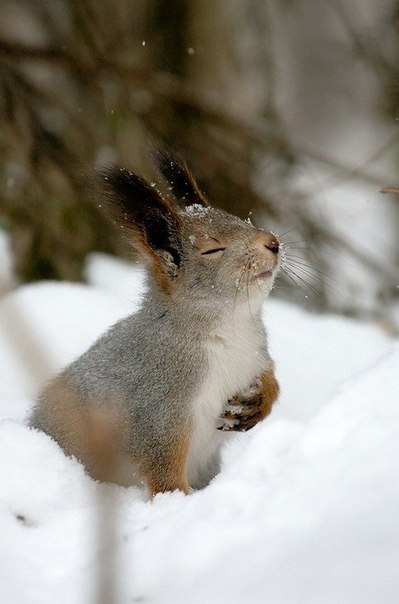 Поля Невелева | Москва