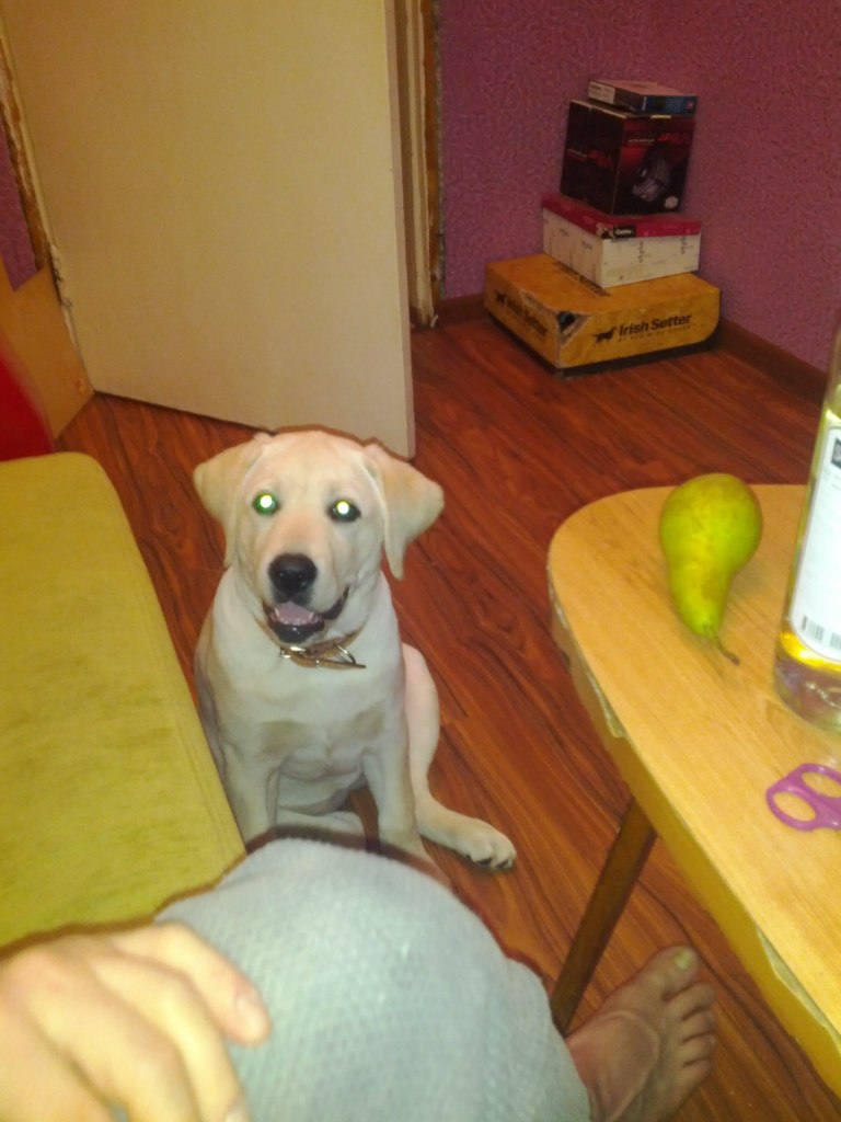 Михаил Пятаков *PiF* | Пермь