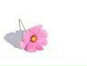 Инна Краснова | Белебей