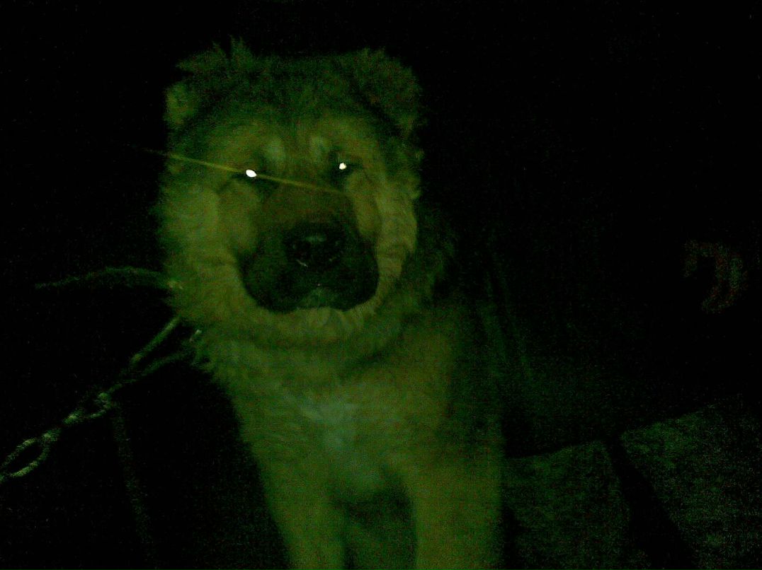 Жаксылык Мухаметжанов | Астана / Нур-Султан