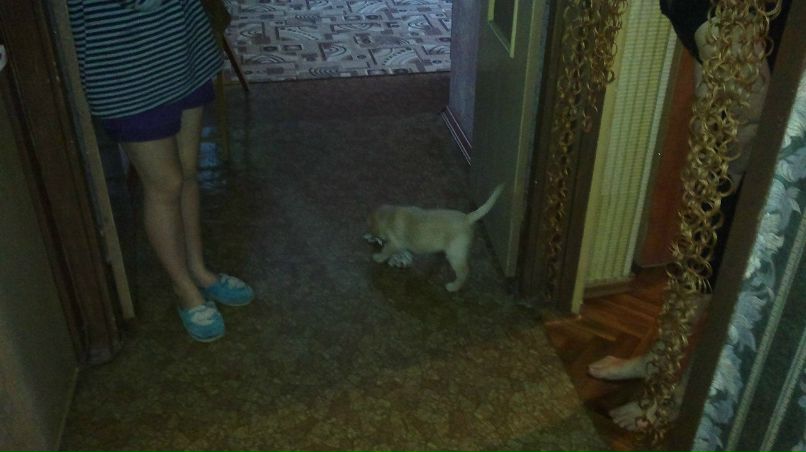 Юлия Язовских | Тихвин