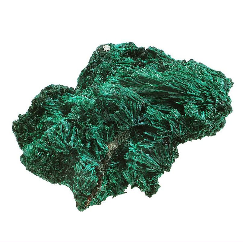 Анастасия Малкова | Долина Свободы