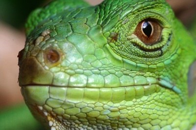 Tatev Exiyan | Ереван