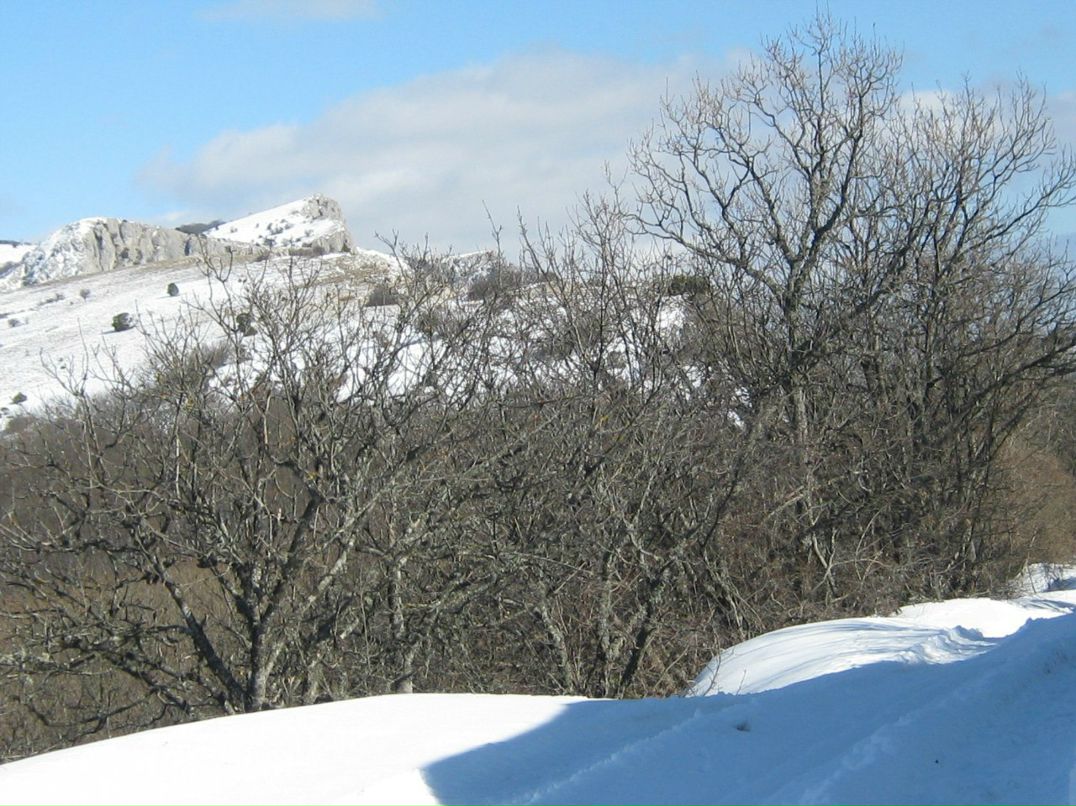 Людмила Андросова Алексеевна | Севастополь