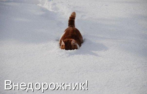 Александр Патриков | Харьков