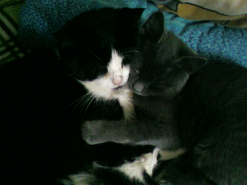 Даша Жадан | Черкассы