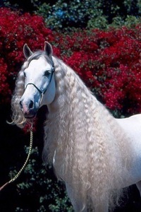 Мария Гришина