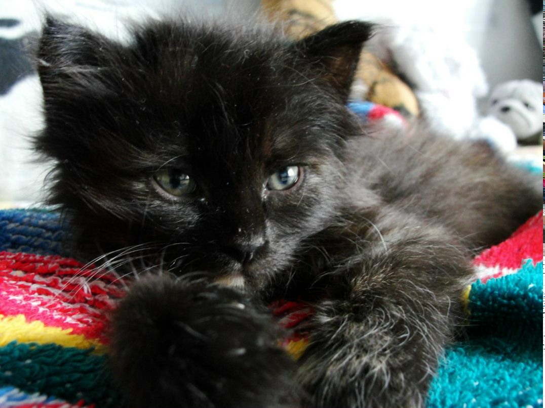 Павел Аристархов | Челябинск