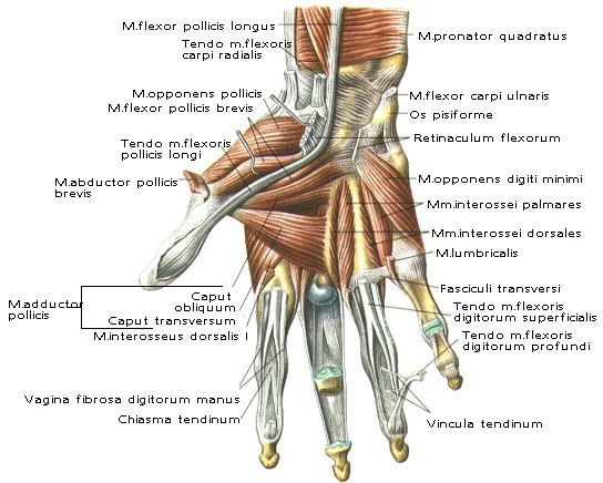 Алексей Ганеев | Екатеринбург