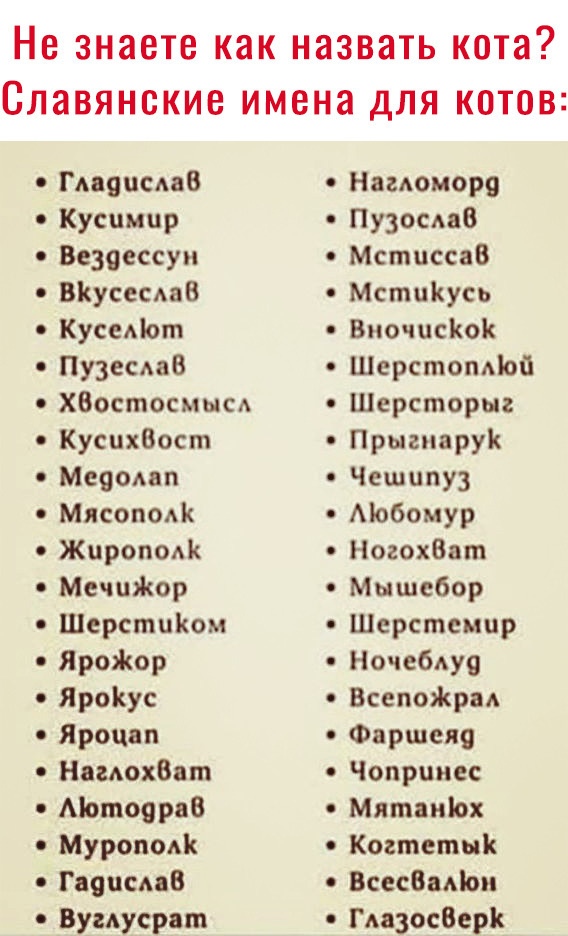 https://sun9-31.userapi.com/c543103/v543103029/770b6/qqAxROd-FPw.jpg