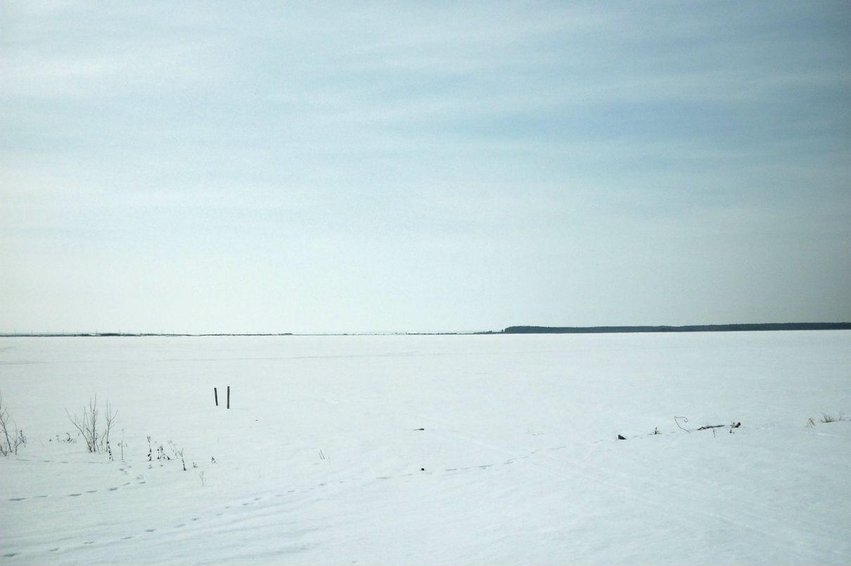 Татьяна Гаврюкова ~Туманка~ | Пермь