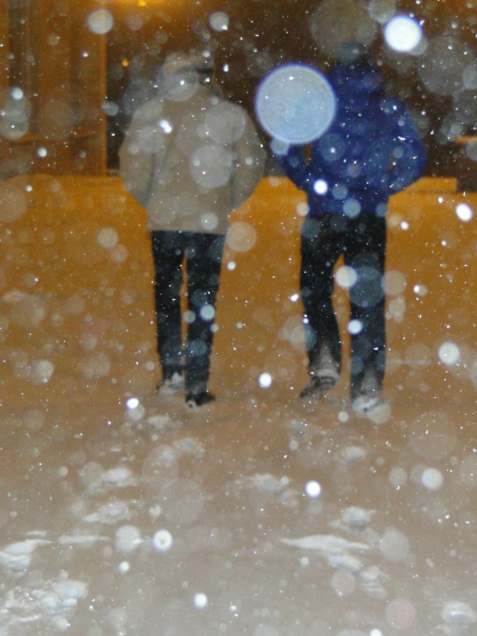 Евгений Маршалкин | Светлогорск