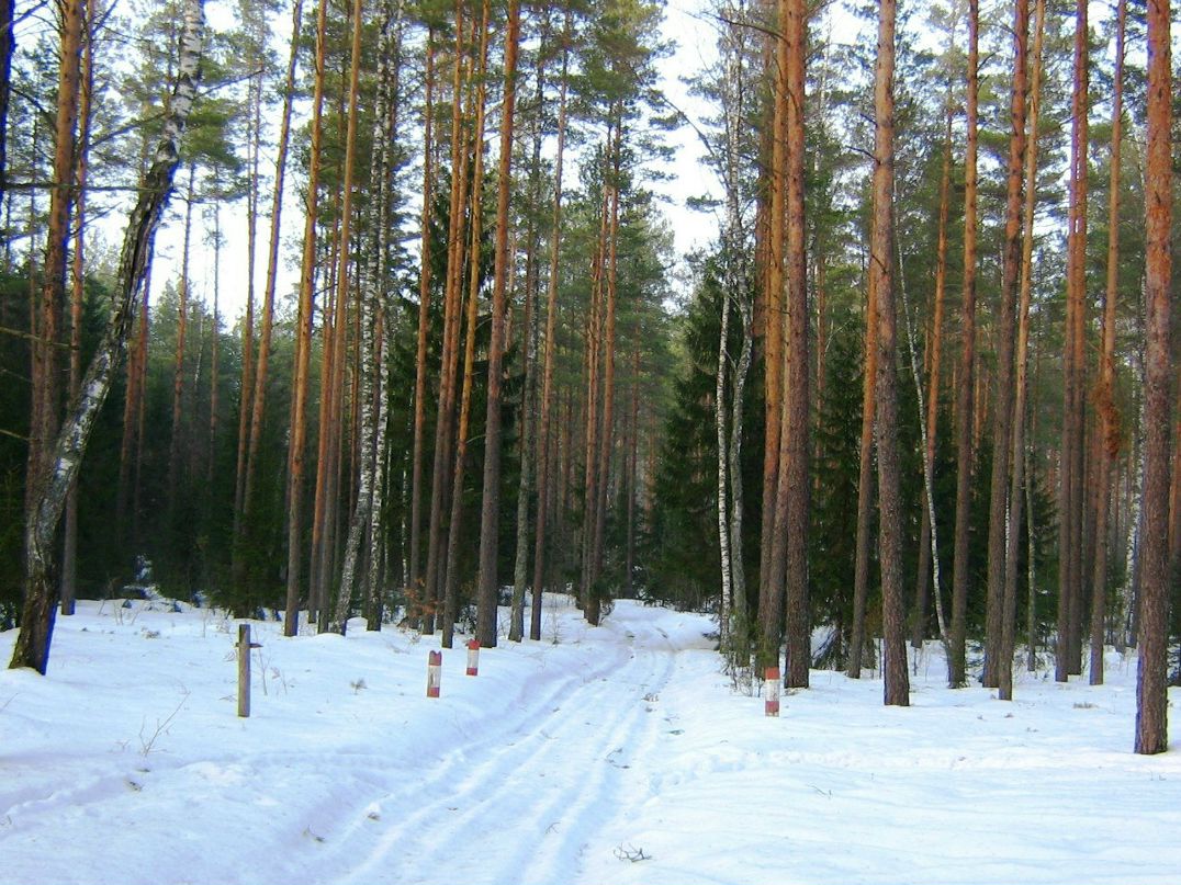Павел Кольчевский | Витебск