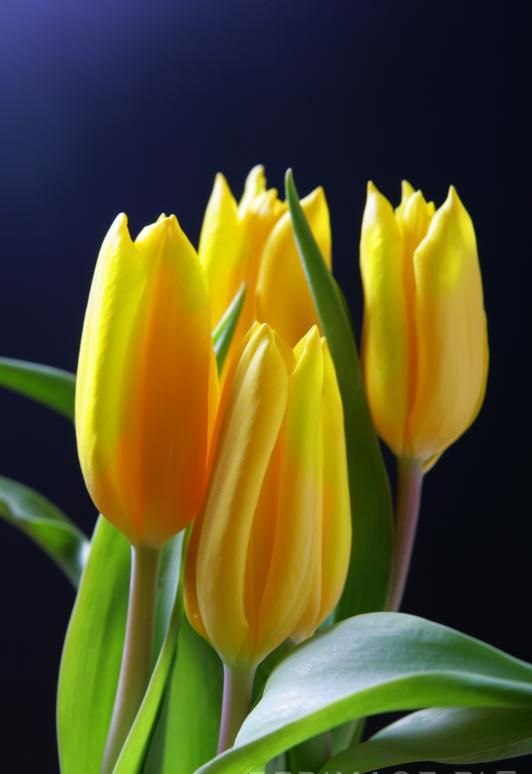 Дарья Раудина | Москва