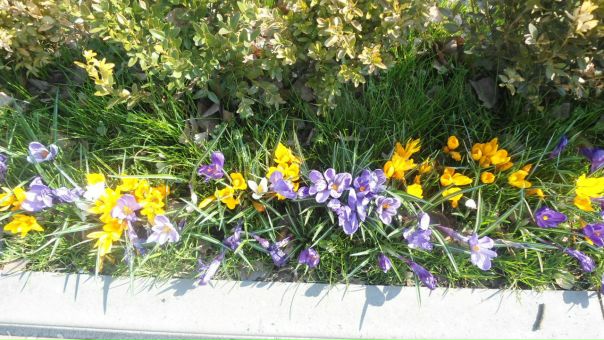 №103, Оля Сташкевич, 33 года, Тополи №103, Оля Сташкевич, 33 года, Тополи