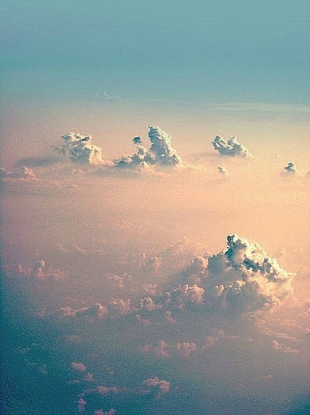 Дмитрий Медведенко | 