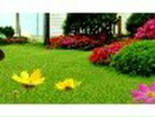 Екатерина Щепина | 